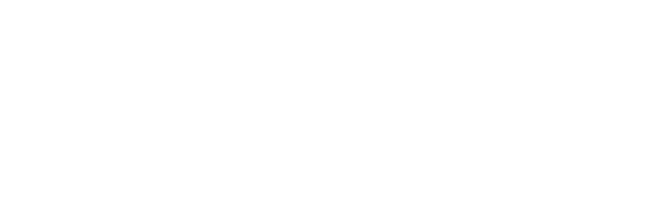 Neural Signals Lab